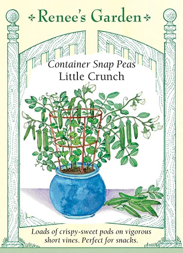 product-101248-1759500039-rg5445