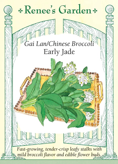 product-101274-1759500082-rg5682