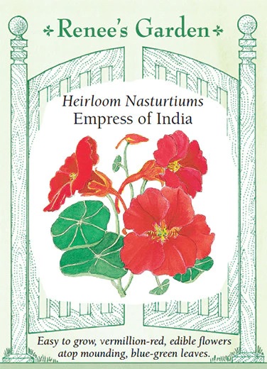 product-101523-1759499516-RG5041