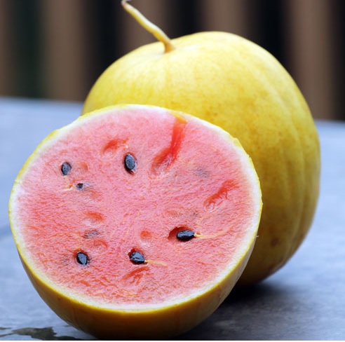 product-101803-1759503043-SSE1107