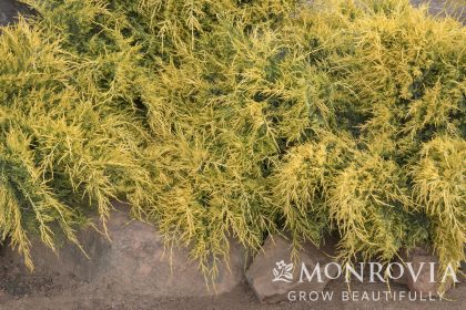 product-1048-1759489695-MO048132