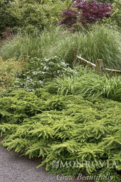 product-1113-1759491180-MO072342