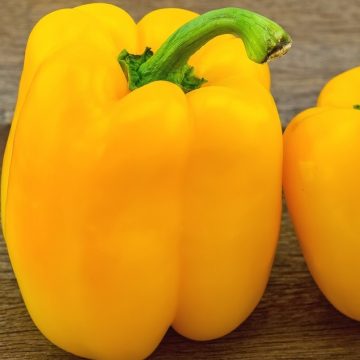 Pepper Bell 'Golden California Wonder' - 3½" pot