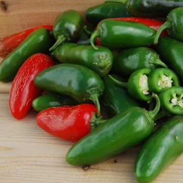 Pepper Hot 'Jalapeno' - 3½ pot