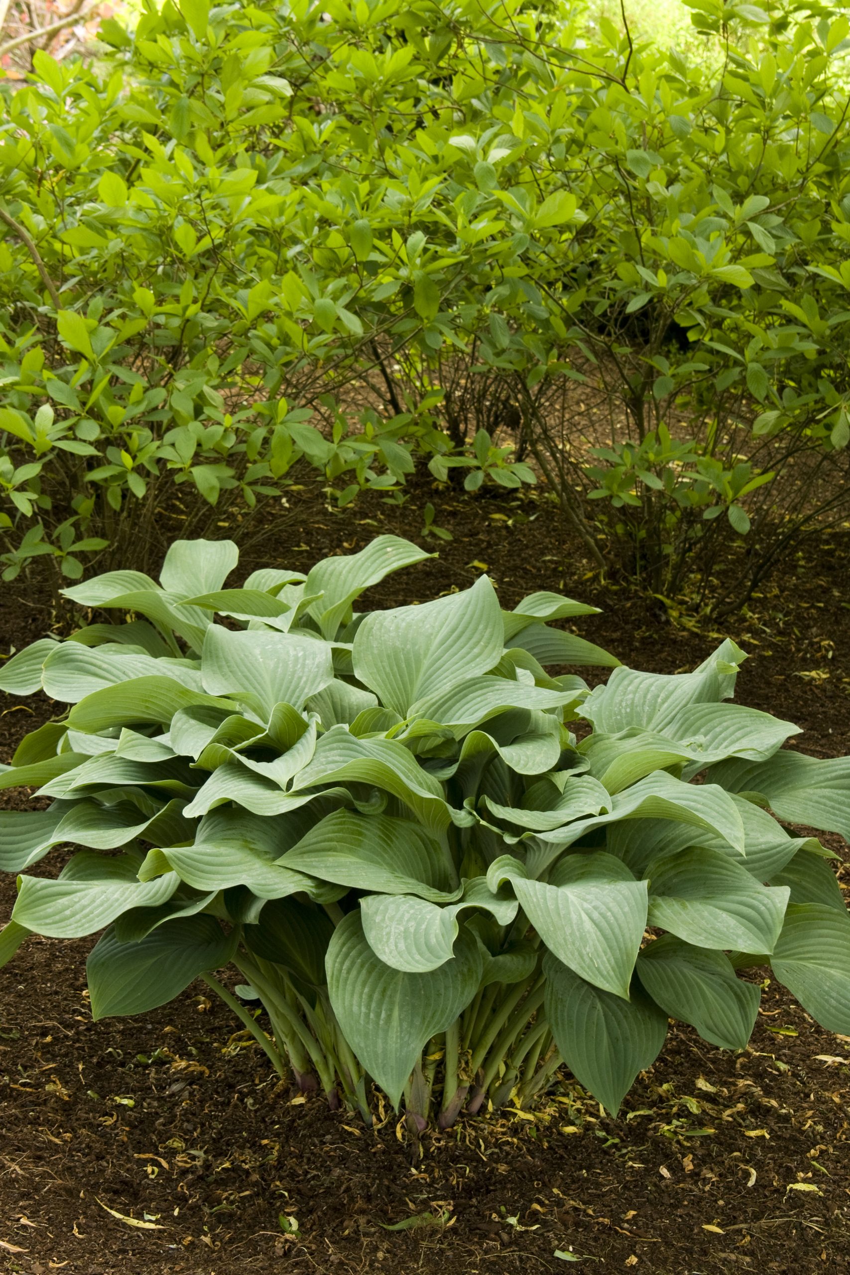 product-11891-1759489514-MO041822