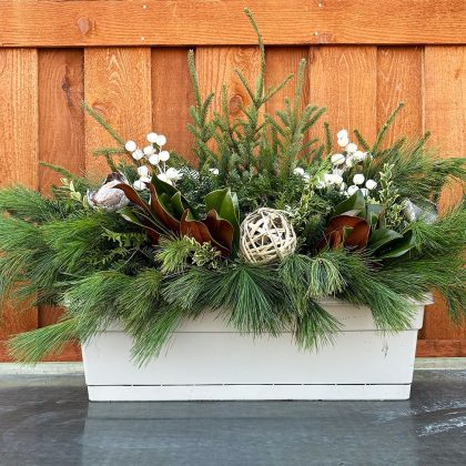 Evergreen Window Box, White Magnolia- 24″