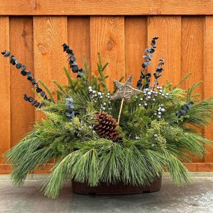 Evergreen Window Box, Blue Christmas- 15″