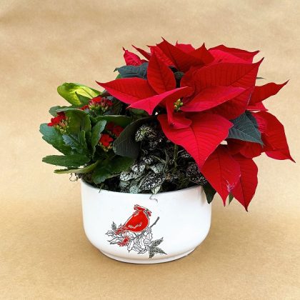 Christmas Garden, Merry Cardinal- 6.5″