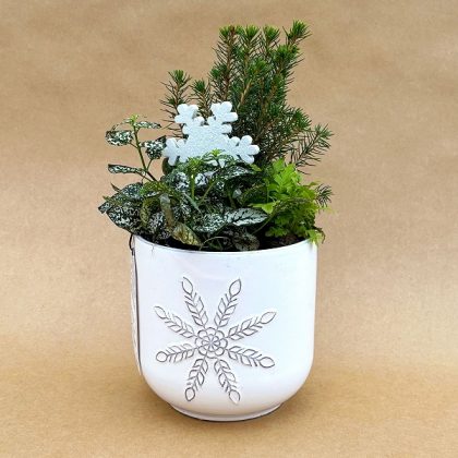 Christmas Garden, North Pole- 4.5″