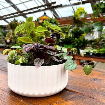 Lucky Charm Workshop