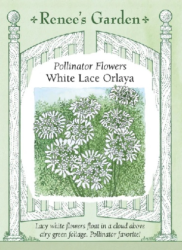 product-120335-1759500095-RG5697