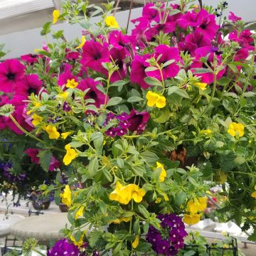 Combination MixMasters™ Bejeweled- 12" Basket