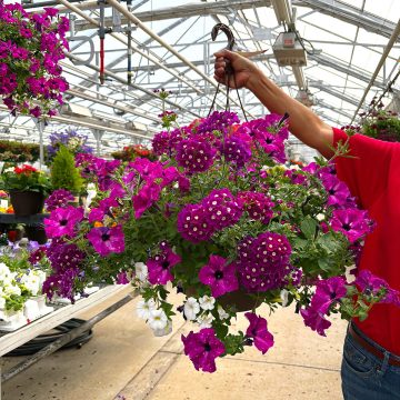 Combination Trixi® Enchanted Evening - 12" Basket