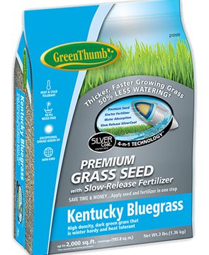 GRASS SEED KENTUCKY BLUE- 3#