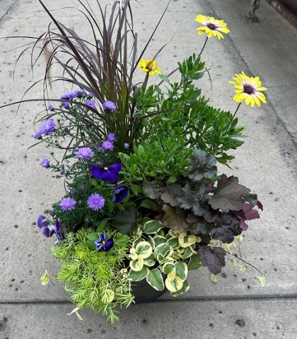 Combination 'Fall Eyes' - 14" Pot