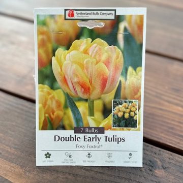 TULIP 'FOXY FOXTROT'- 7 BULBS PER PACKAGE
