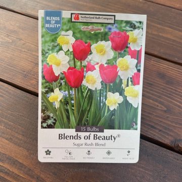 MIXED BULBS, SUGAR RUSH BLEND- 15 BULBS/ PACK