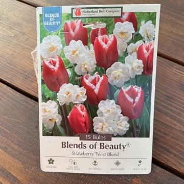 MIXED BULBS, STRAWBERRY TWIST BLEND- 15 BULBS/ PK