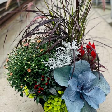 Combination 'Fall Jewel' - 17" Estate Planter
