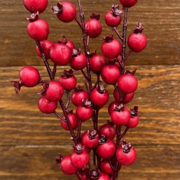 BIG RED WATER BERRY PICK