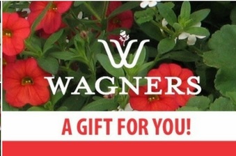 GIFT CARD- $100