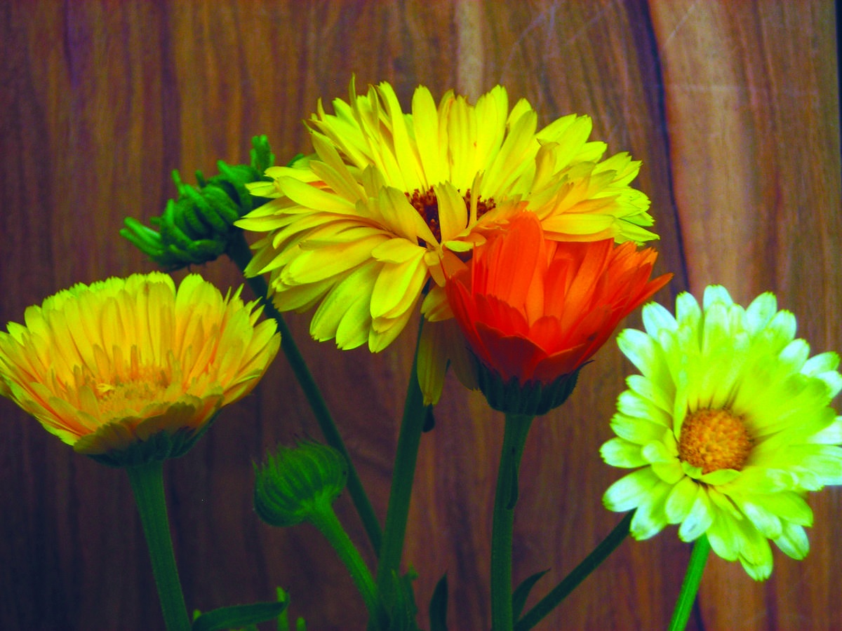 product-142064-1769480415-se71207