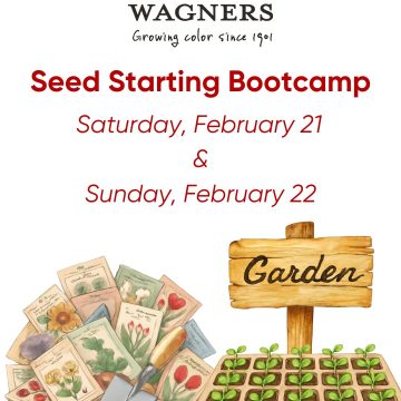 SEED STARTING BOOTCAMP