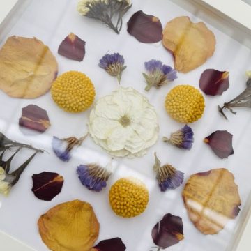 Nature Mandala Making Workshop