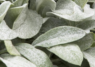 product-16198-1759487913-MO012091