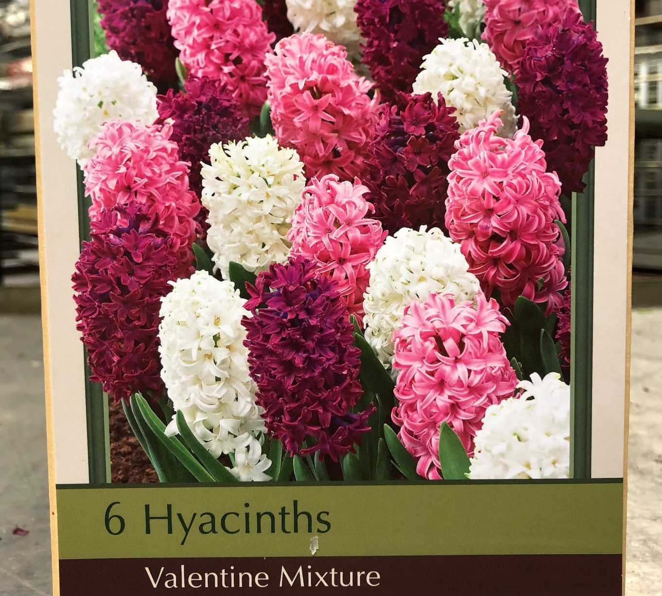 product-19846-1759495880-NB3300909670