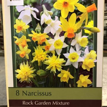 NARCISSUS 'ROCK GARDEN MIX'- 7 BULBS PER PACKAGE