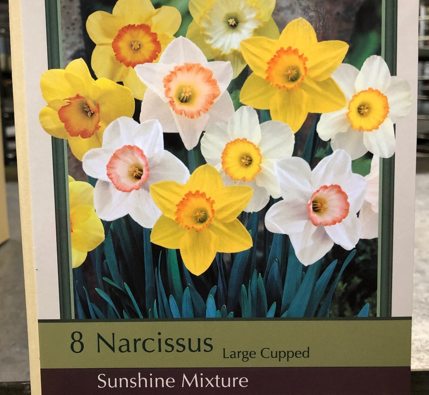 product-19852-1759496431-NB4304904670