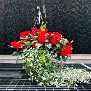 Combination Christmas in July- 14″ Fiber Basket