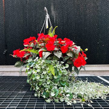 Combination Christmas in July- 14" Fiber Basket