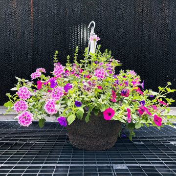 Combination First Birthday- 14″ Fiber Hang. Basket