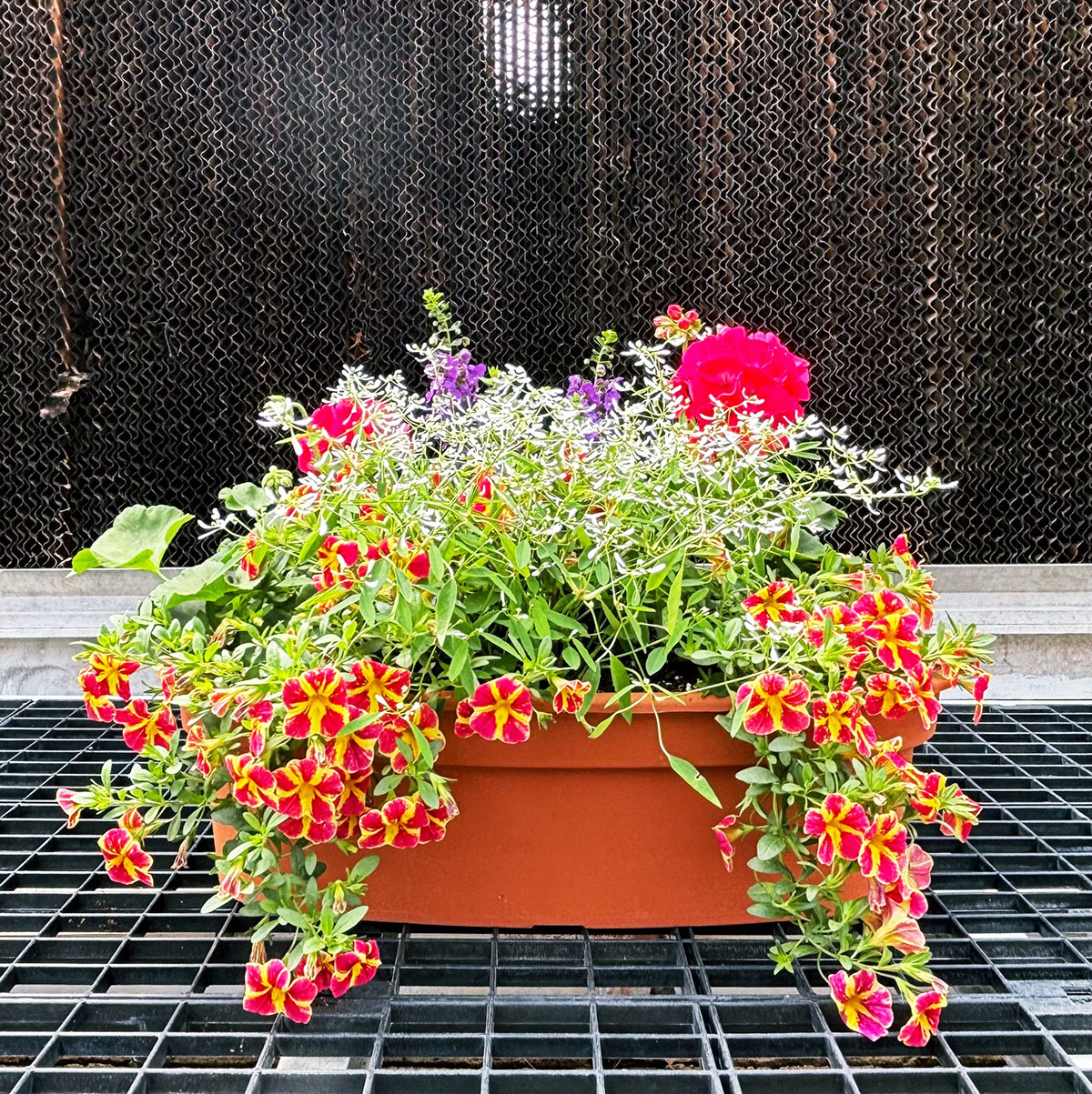 product-2048-1759474341-COMSMR920-20OV