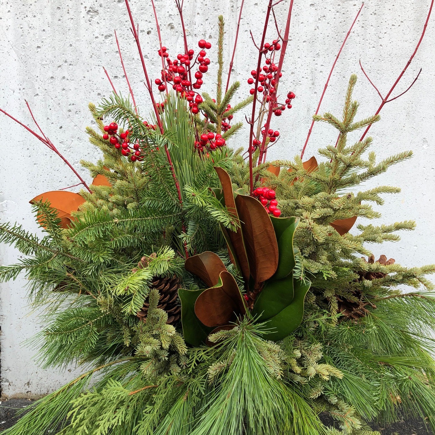 product-27374-1759505628-TPDECOMR