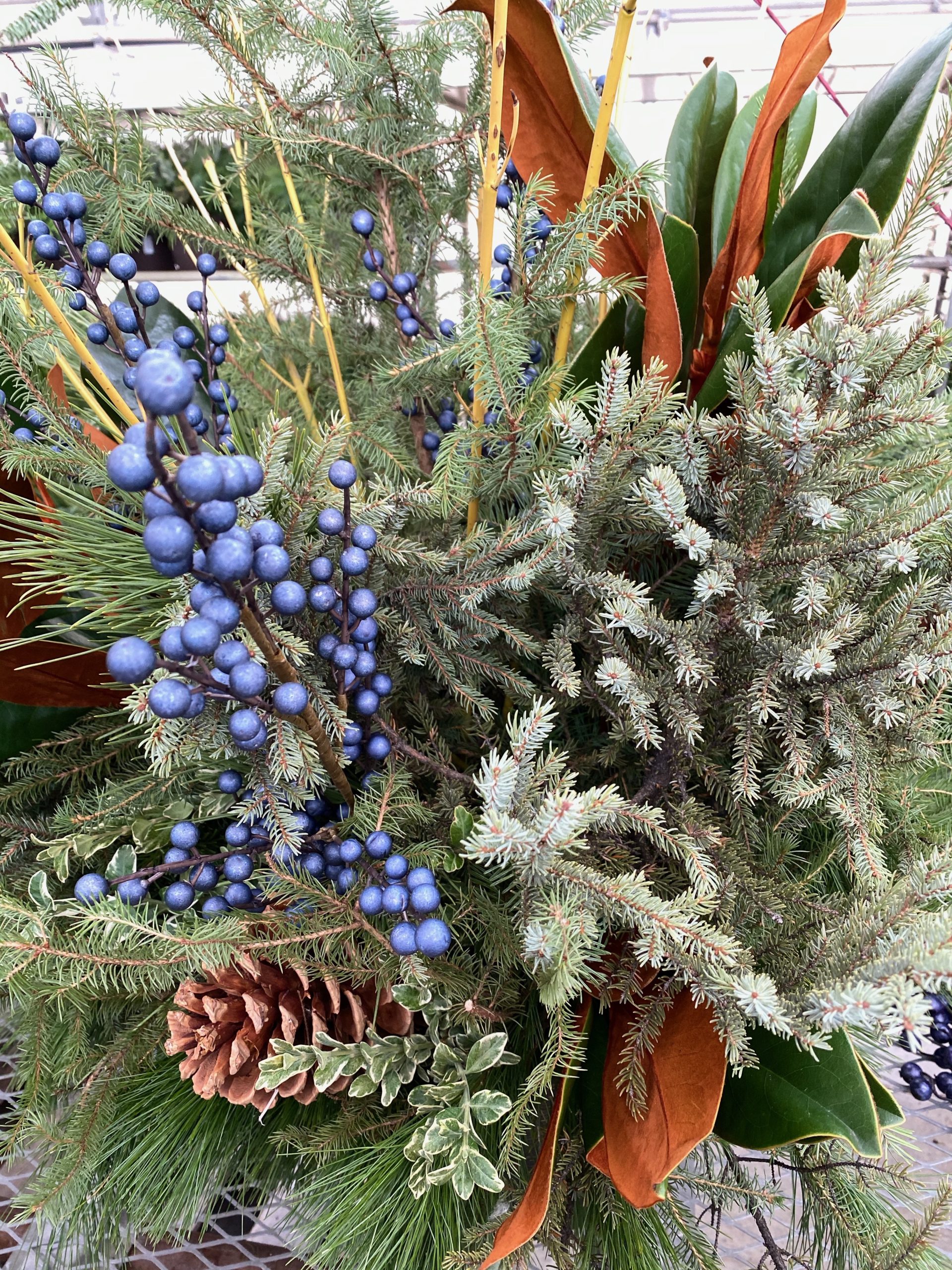 product-27380-1759505878-TPFANCYMB