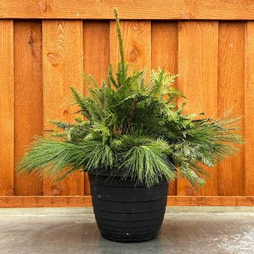 Evergreen Pot, Undecorated- 10″ Pot