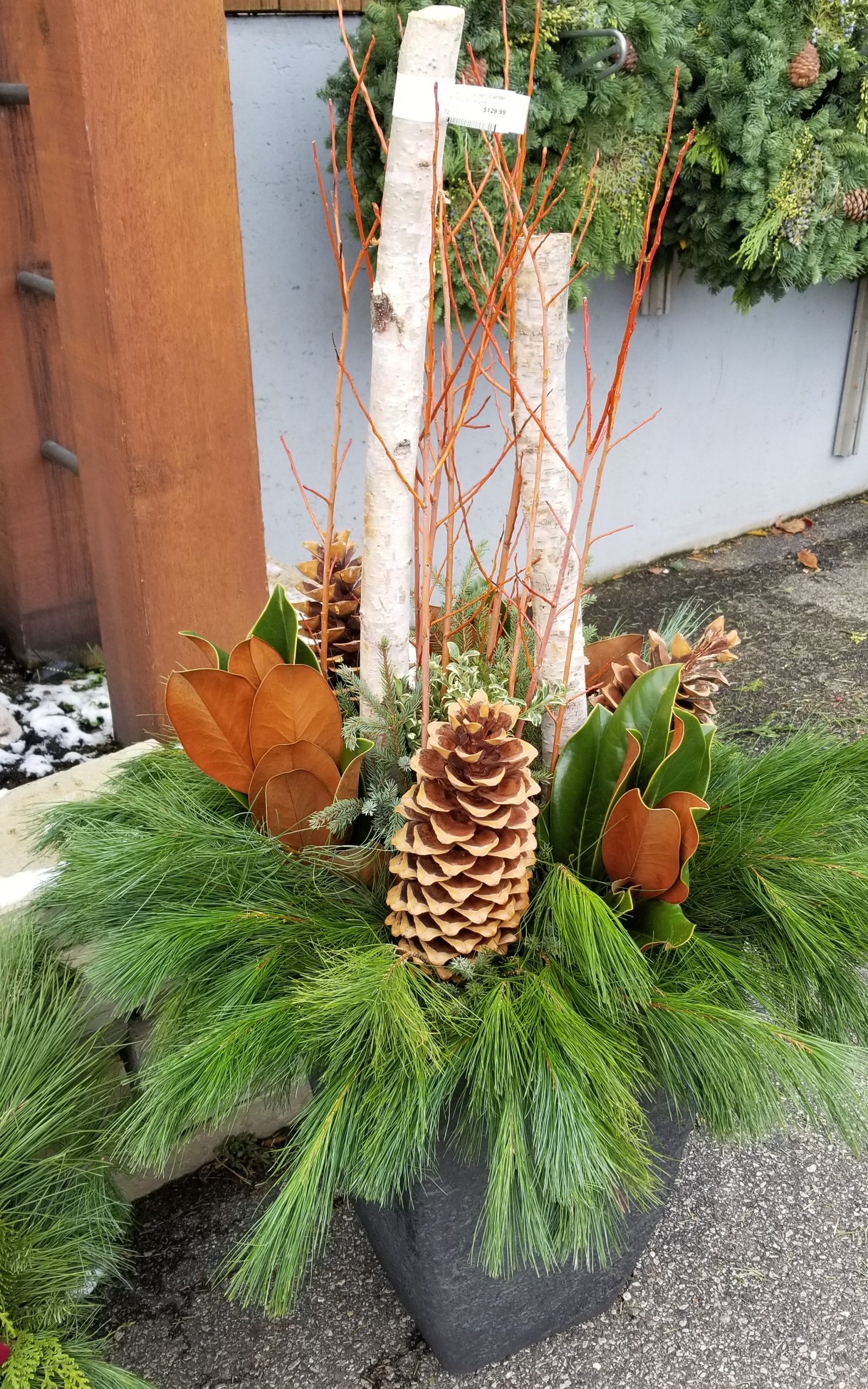 product-27571-1759505933-tpt2