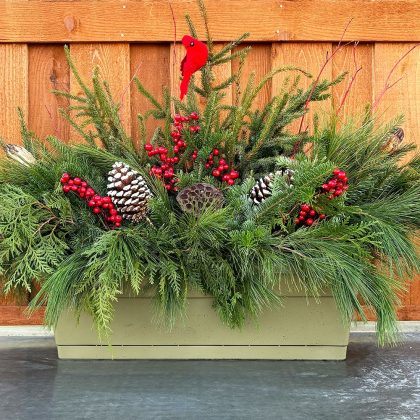 Evergreen Window Box, Red- 24″