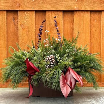 Evergreen Window Box, Burgundy- 15″