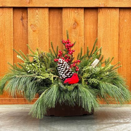 Evergreen Window Box, Red- 15″