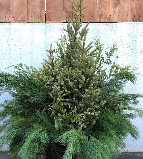 product-27680-1759505938-tpun14