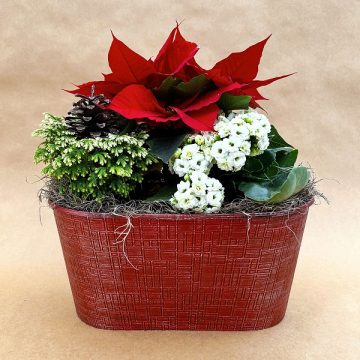 Christmas Oval Mixed Garden- 15″