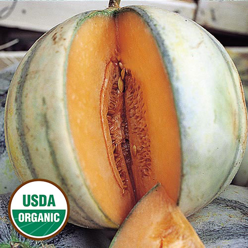 product-28386-1613574228-SSE1206A