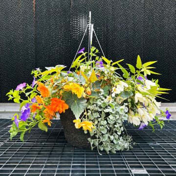Combination Sunrise Falls- 14" Fiber Basket