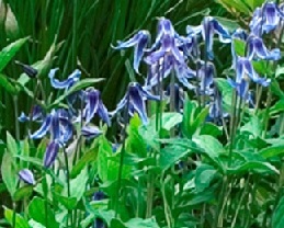 product-52832-1759488766-MO022431