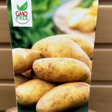 SEED POTATOES RUSSET BURBANK- QUANTITY 6