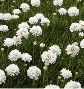 product-53956-1759487653-MO00269UT